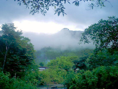 selva_lacandona01