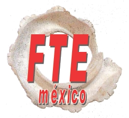 fte11