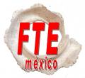fte13