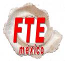 fte13