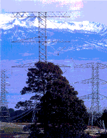 cartel del foro (86 Kb)